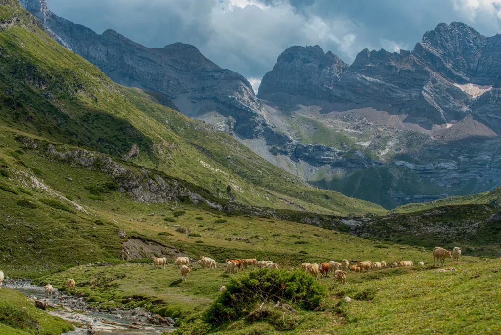 paseo por el valle del estaube